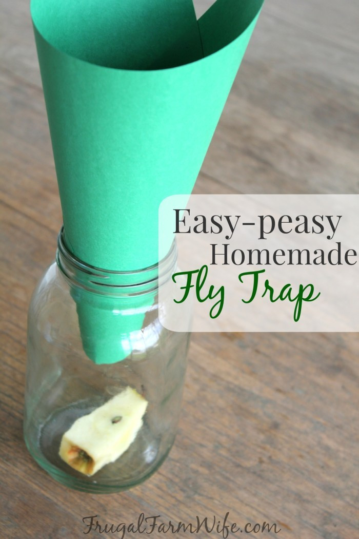 Best ideas about Fly Trap DIY
. Save or Pin Homemade Fly Trap Totally Works Now.