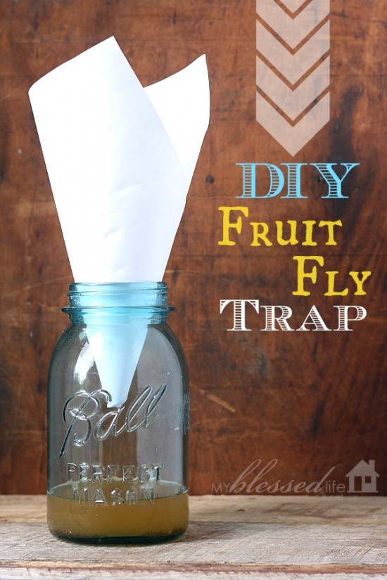 Best ideas about Fly Trap DIY
. Save or Pin Daily Frugal Tip DIY Fruit Fly Trap Couponing 101 Now.