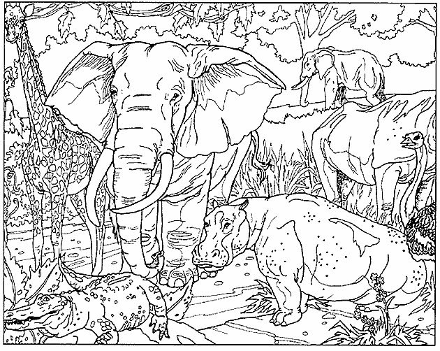 Best ideas about Free Coloring Pages African Animals
. Save or Pin Elephant Coloring Pages Now.