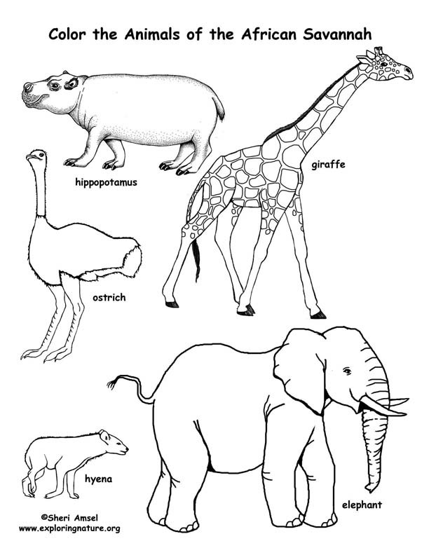 Best ideas about Free Coloring Pages African Animals
. Save or Pin Free Coloring Pages for Children of Color non mercial Now.