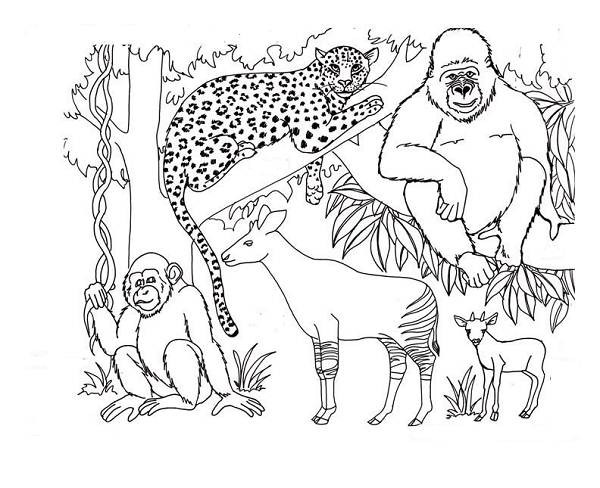 Best ideas about Free Coloring Pages African Animals
. Save or Pin African Savanna Coloring Pages Bestofcoloring Now.