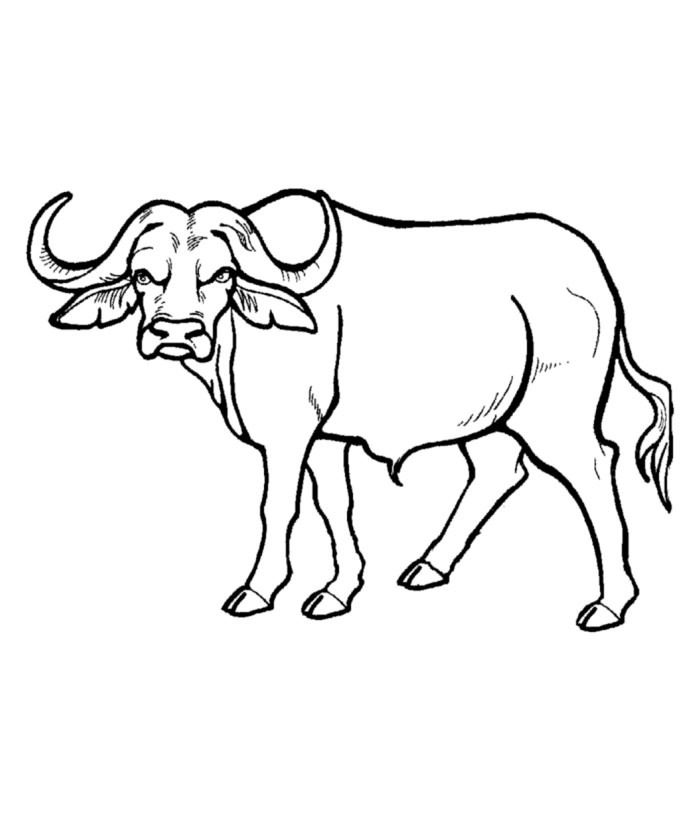 Best ideas about Free Coloring Pages African Animals
. Save or Pin African Animal Template Animal Templates Now.