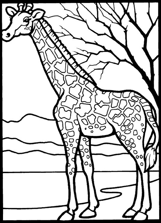 Best ideas about Free Coloring Pages African Animals
. Save or Pin Kids n fun Now.