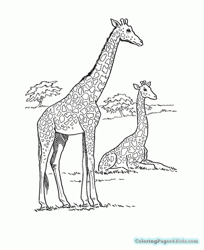 Best ideas about Free Coloring Pages African Animals
. Save or Pin Free Coloring Pages African Animals Now.