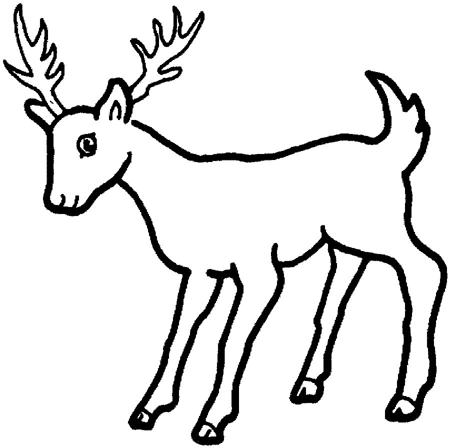 Best ideas about Free Coloring Pages Deer
. Save or Pin For Education New Animal Deer Coloring Pages Now.