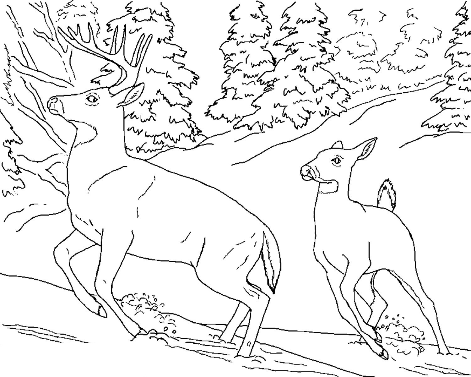 Best ideas about Free Coloring Pages Deer
. Save or Pin Free Printable Deer Coloring Pages For Kids Now.