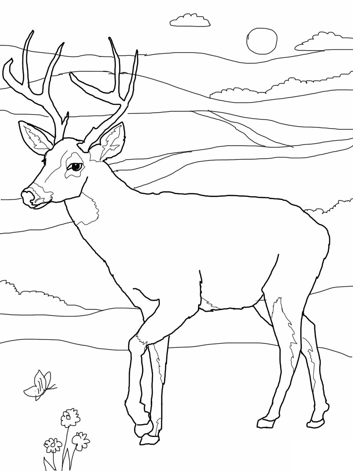 Best ideas about Free Coloring Pages Deer
. Save or Pin Free Printable Deer Coloring Pages For Kids Now.