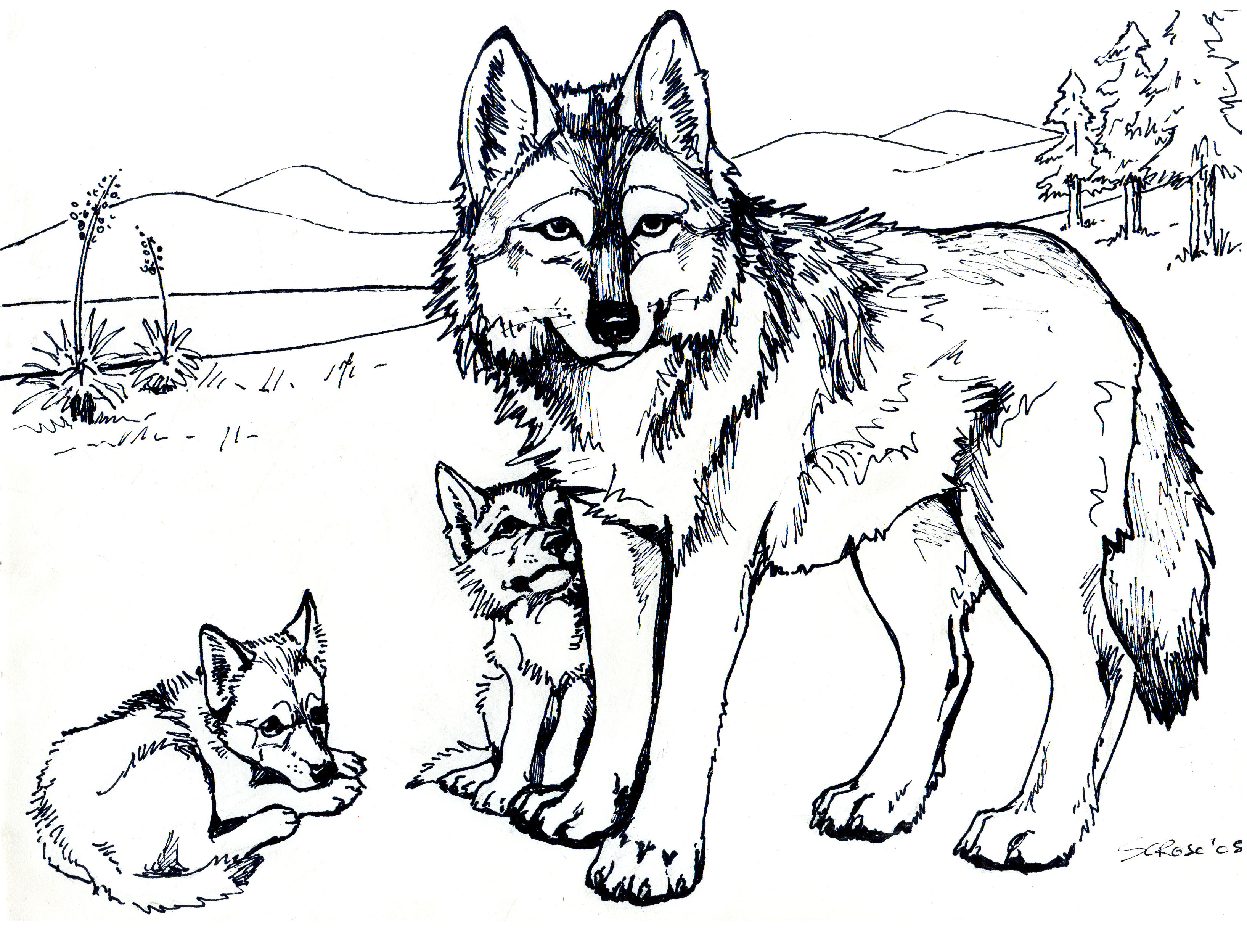 Best ideas about Free Coloring Pages Of Wolves
. Save or Pin Free Printable Wolf Coloring Pages For Kids Now.