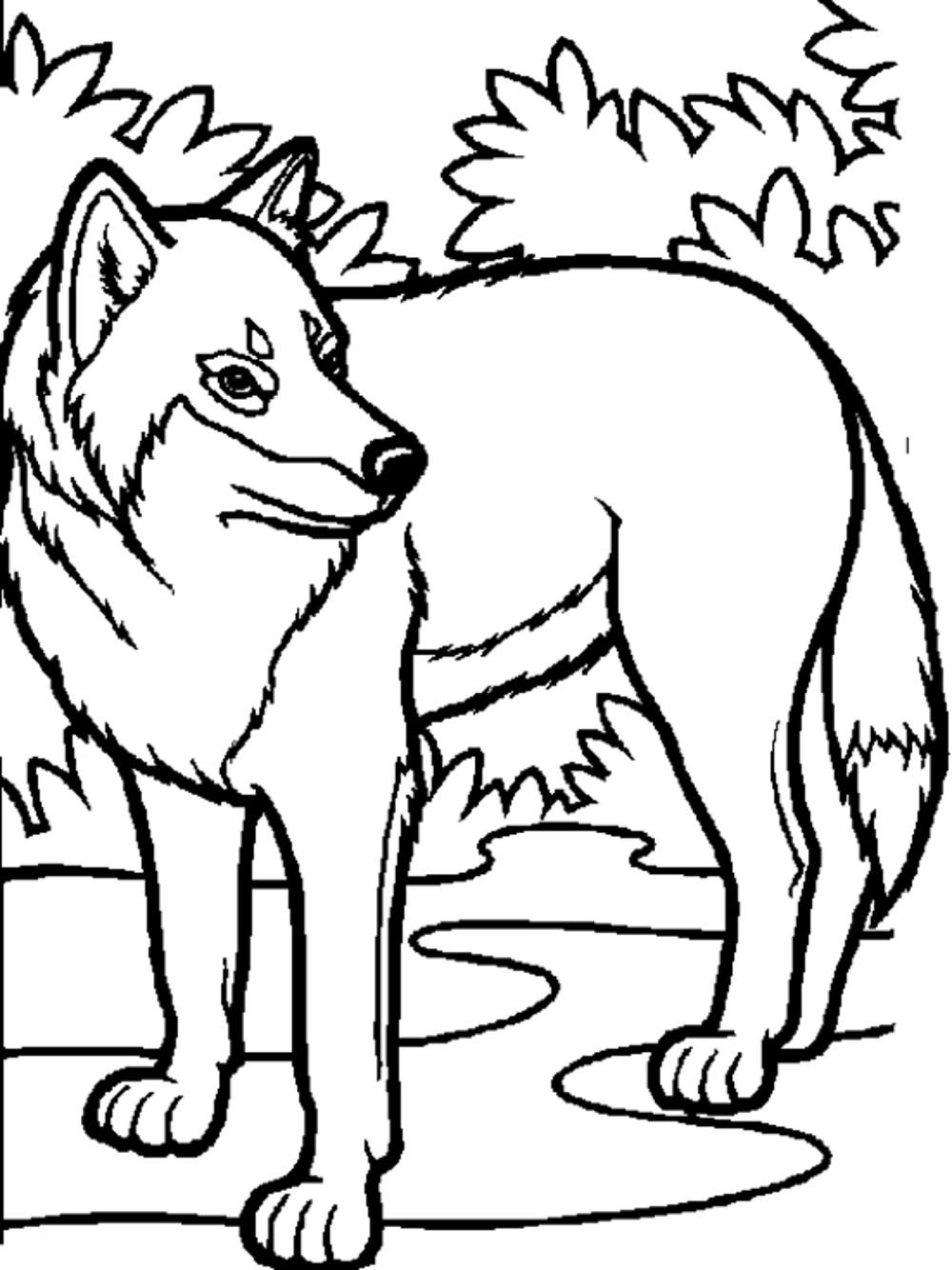 Best ideas about Free Coloring Pages Of Wolves
. Save or Pin Print & Download Wolf Coloring Pages Theme Now.