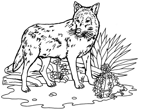 Best ideas about Free Coloring Pages Of Wolves
. Save or Pin 301 Moved Permanently Now.