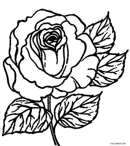 Best ideas about Free Coloring Pages Roses
. Save or Pin Printable Rose Coloring Pages For Kids Now.