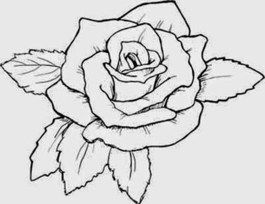 Best ideas about Free Coloring Pages Roses
. Save or Pin Top 13 Flowers Sketches Beautiful Sketching Flowers Now.