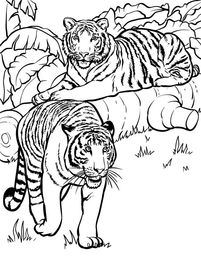 Best ideas about Free Coloring Pages Wild Animals
. Save or Pin Wild Animals Coloring Pages Coloring Home Now.