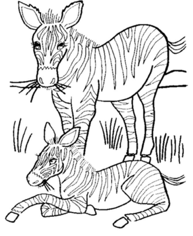 Best ideas about Free Coloring Pages Wild Animals
. Save or Pin Coloring Pages Wild Animals Coloring Home Now.
