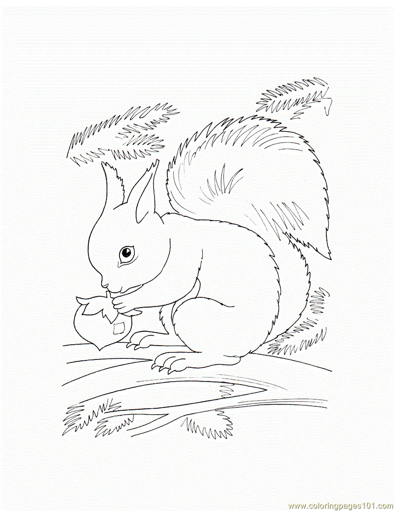 Best ideas about Free Coloring Pages Wild Animals
. Save or Pin Wild Animals For Colouring Now.