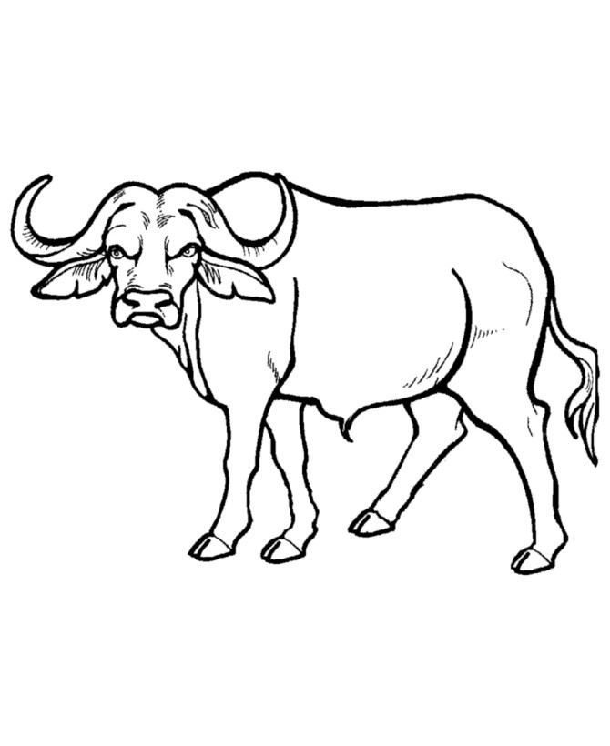 Best ideas about Free Coloring Pages Wild Animals
. Save or Pin Coloring Pages Buffalo Coloring Home Now.