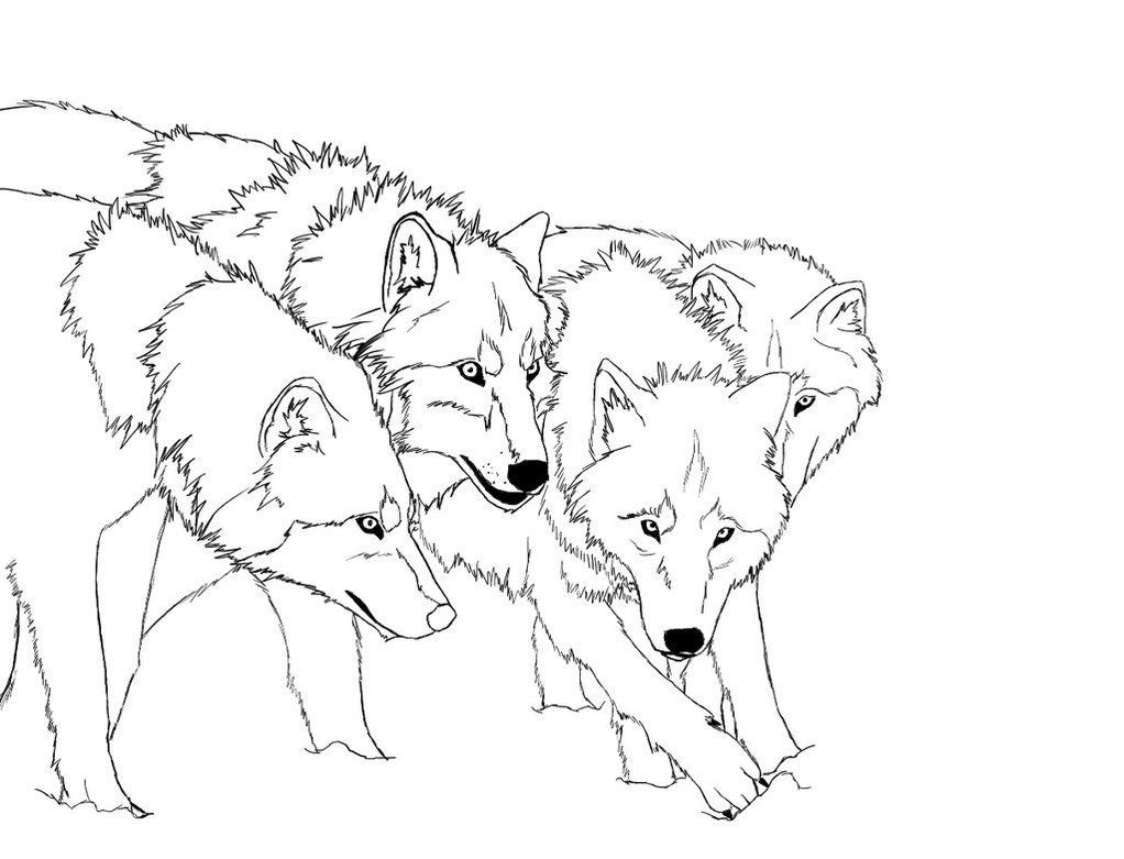 Best ideas about Free Coloring Pages Wolf
. Save or Pin Free Printable Wolf Coloring Pages For Kids Now.