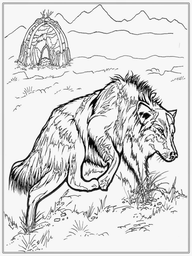 Best ideas about Free Coloring Pages Wolf
. Save or Pin Realistic Wolf Adult Coloring Pages Now.