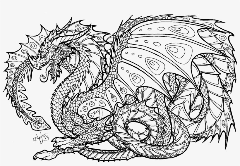 Best ideas about Free Dragon Coloring Pages For Adults
. Save or Pin Realistic Dragon Coloring Pages For Adults Adult Now.