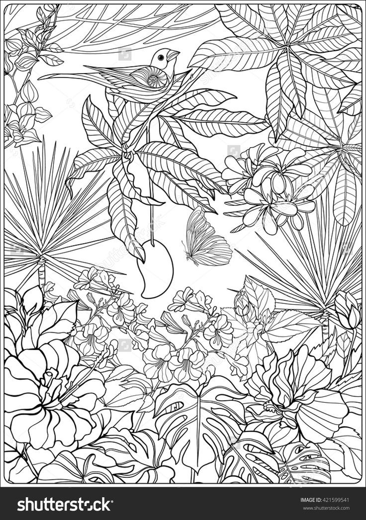 Best ideas about Free Online Printable Coloring Sheets On Plants
. Save or Pin Tropical wild birds and plants Tropical garden collection Now.