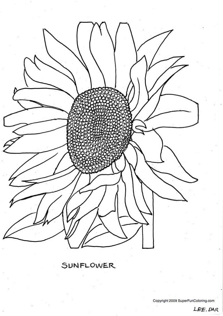 Best ideas about Free Online Printable Coloring Sheets On Plants
. Save or Pin Free Sunflower Color Sheets Download Free Clip Art Free Now.