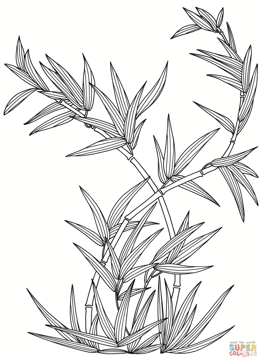 Best ideas about Free Online Printable Coloring Sheets On Plants
. Save or Pin Bamboo Coloring Page Coloring Home Now.