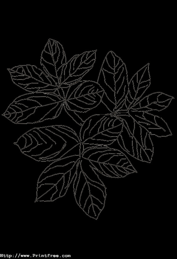 Best ideas about Free Online Printable Coloring Sheets On Plants
. Save or Pin Leaves Now.