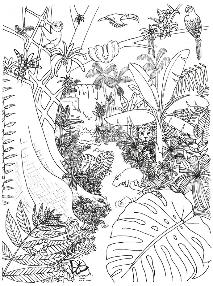 Best ideas about Free Online Printable Coloring Sheets On Plants
. Save or Pin Rainforest Animals and Plants Coloring Page Now.