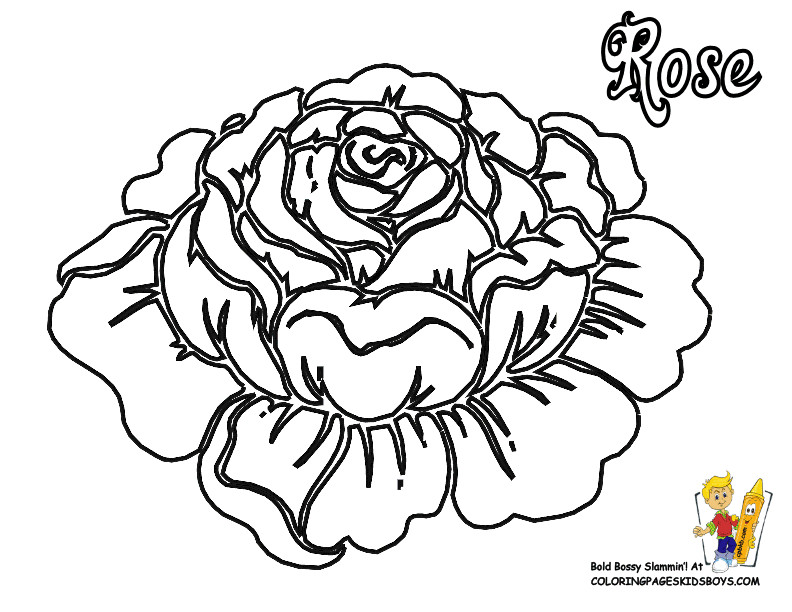 Best ideas about Free Printable Coloring Sheets Big Flowers
. Save or Pin Big Flower Coloring Pages Coloring Home Now.