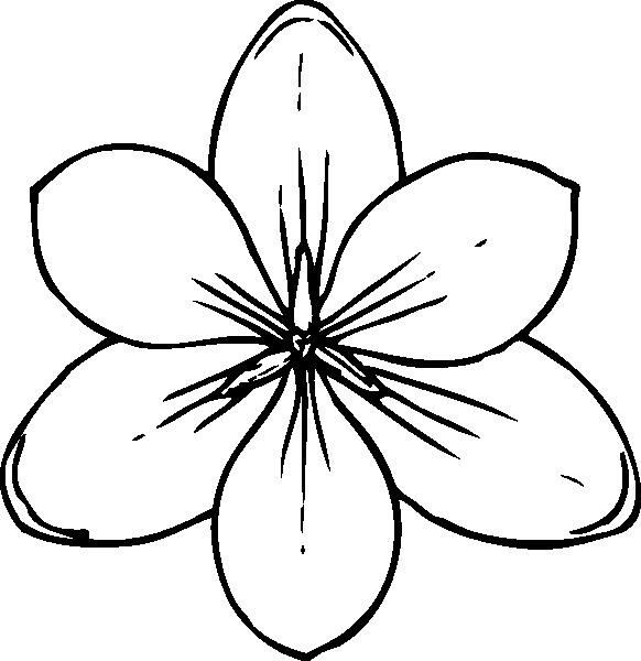 Best ideas about Free Printable Coloring Sheets Big Flowers
. Save or Pin flowers coloring pages to and print for free Now.