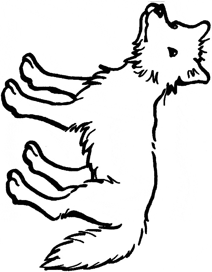 Best ideas about Free Printable Coloring Sheets Coyote
. Save or Pin Coyote coloring page Animals Town Free Coyote color sheet Now.