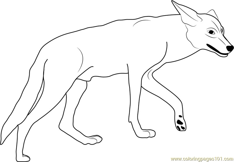 Best ideas about Free Printable Coloring Sheets Coyote
. Save or Pin Coyote in California Valley Coloring Page Free Coyote Now.