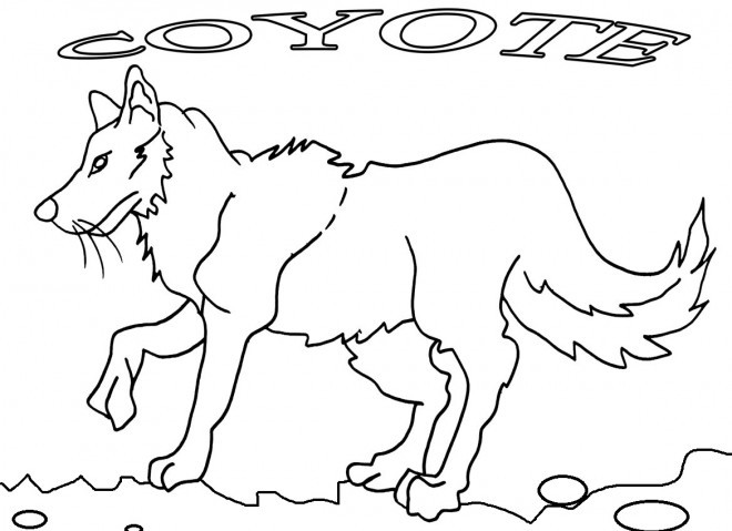 Best ideas about Free Printable Coloring Sheets Coyote
. Save or Pin Coloriage Coyote en noir et blanc dessin gratuit à imprimer Now.