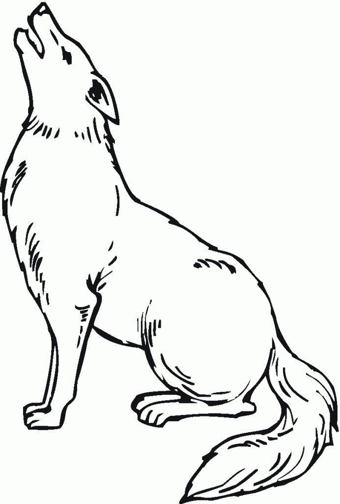 Best ideas about Free Printable Coloring Sheets Coyote
. Save or Pin Free Printable Coyote Coloring Pages For Kids Now.