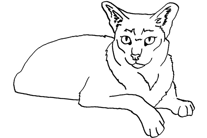 Best ideas about Free Printable Coloring Sheets Coyote
. Save or Pin Coyote Jackal Coloring Pages for Kids Preschool and Now.
