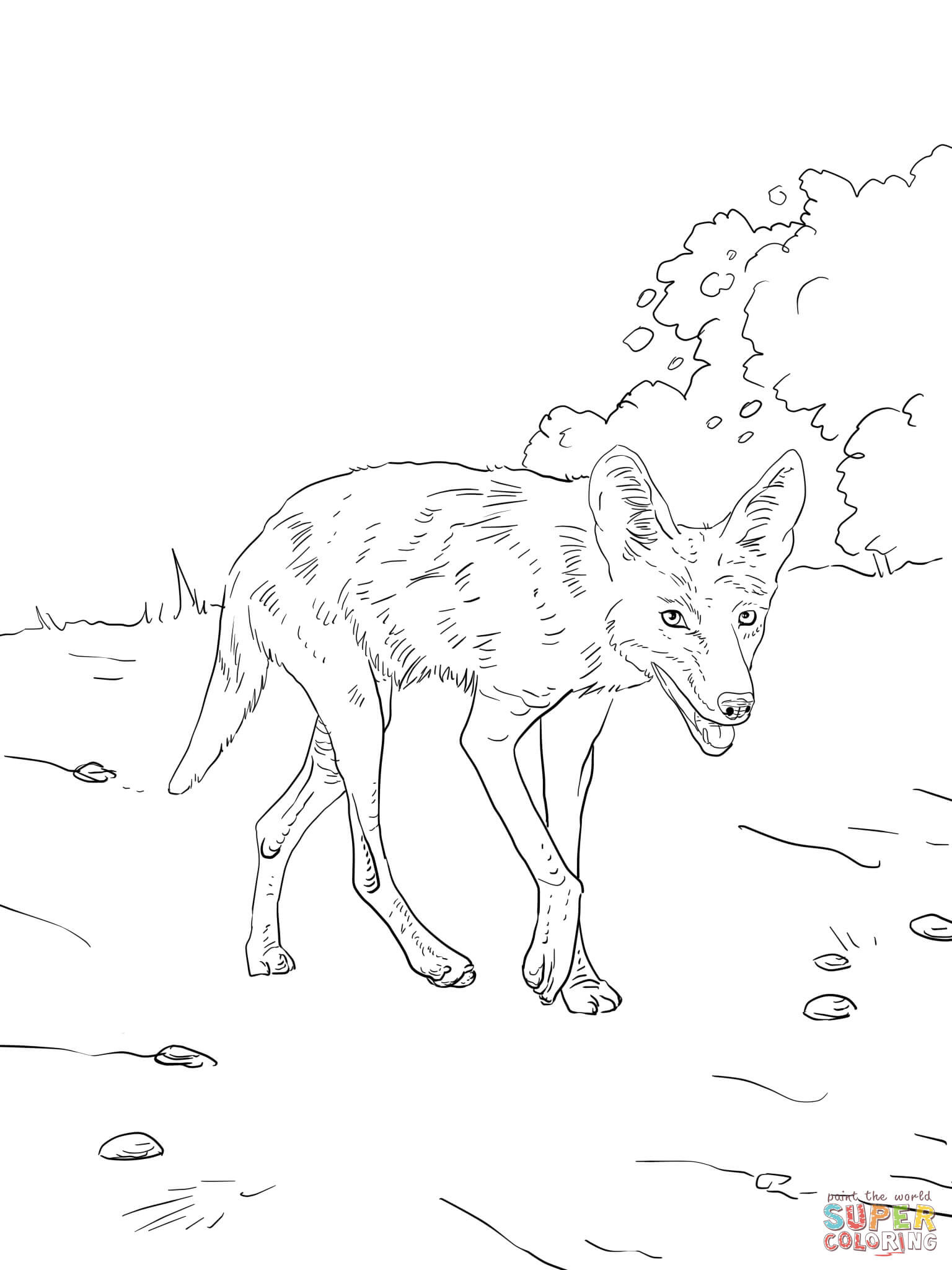 Best ideas about Free Printable Coloring Sheets Coyote
. Save or Pin Brush Wolf or Coyote coloring page Now.