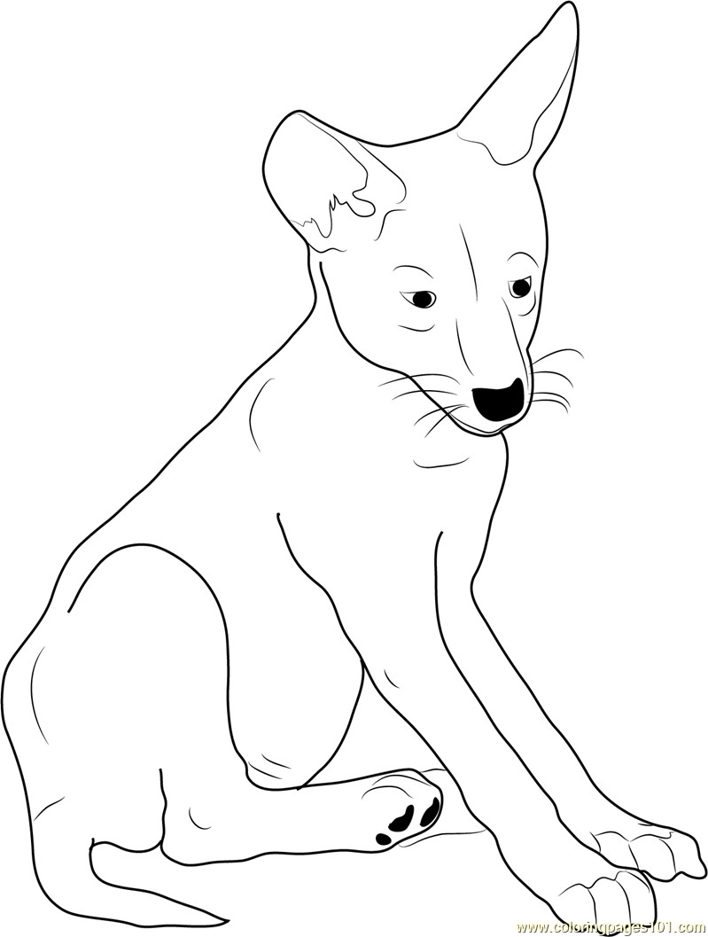 Best ideas about Free Printable Coloring Sheets Coyote
. Save or Pin Coyote Pup Coloring Page Free Coyote Coloring Pages Now.