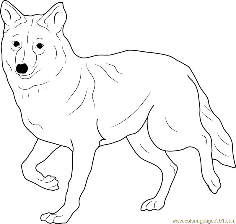 Best ideas about Free Printable Coloring Sheets Coyote
. Save or Pin Coyote Coloring Page Free Coyote Coloring Pages Now.