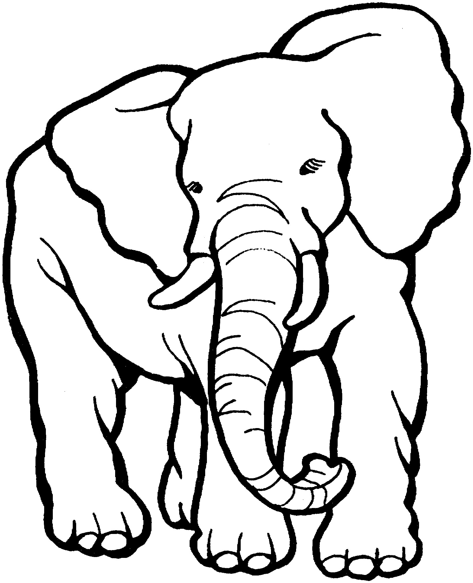 Best ideas about Free Printable Coloring Sheets Of Elephants
. Save or Pin Free Elephant Coloring Pages Now.