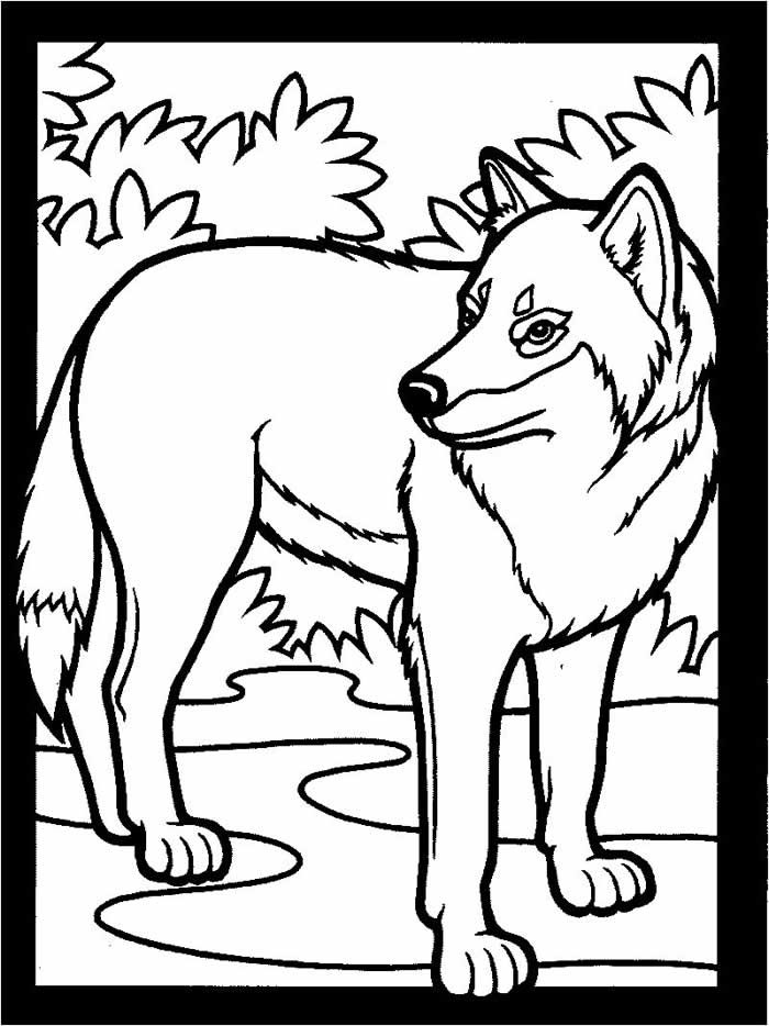 Best ideas about Free Printable Coloring Sheets Of Pictures Of Animals
. Save or Pin Wolf Coloring Pages Now.