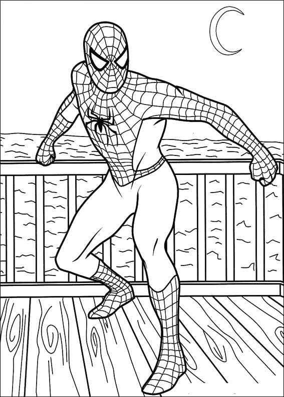 Best ideas about Free Printable Coloring Sheets Of Spiderman
. Save or Pin Spiderman Coloring Pages Now.