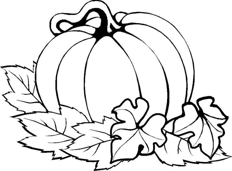 Best ideas about Free Printable Coloring Sheets Pumpkins
. Save or Pin Pumpkin Easy Thanksgiving Coloring Pages Printables Now.