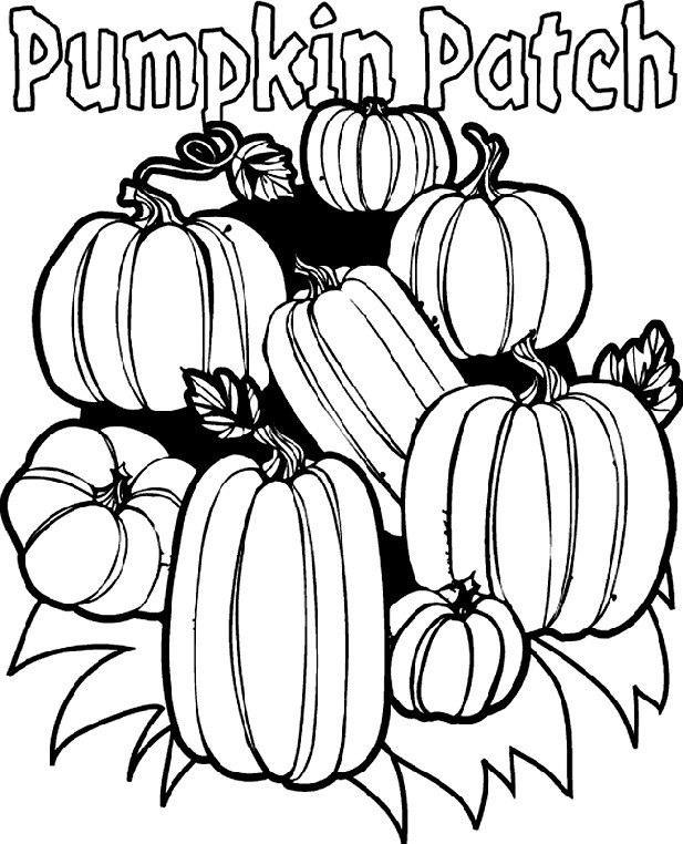 Best ideas about Free Printable Coloring Sheets Pumpkins
. Save or Pin Pumpkin Patch Coloring Page Now.