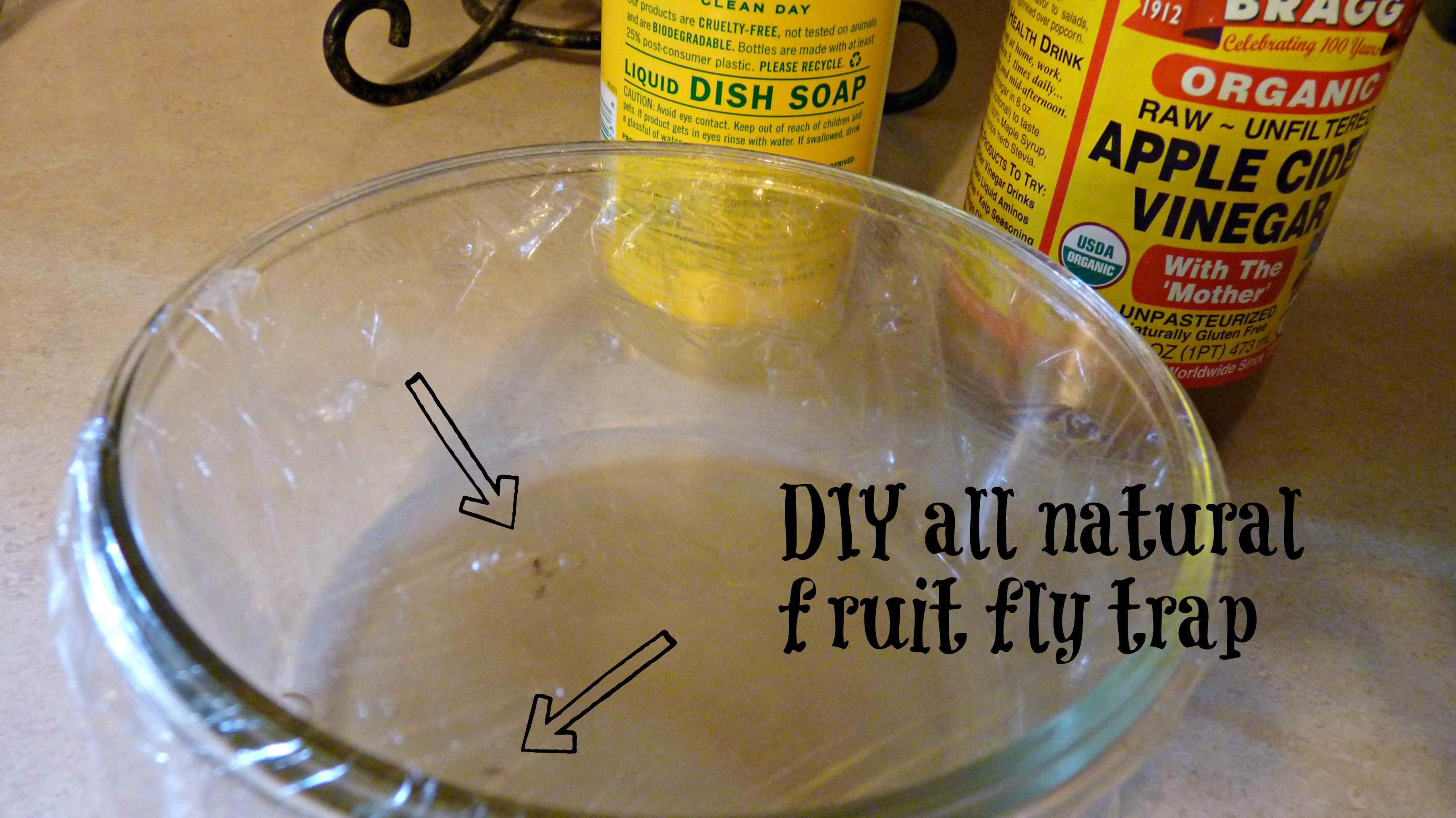 Best ideas about Fruit Fly Trap DIY
. Save or Pin DIY Fruit Fly Trap Now.