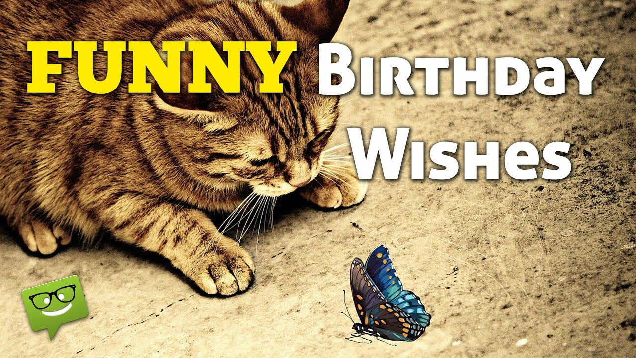 Best ideas about Fun Birthday Wishes
. Save or Pin Funny Birthday Wishes Now.