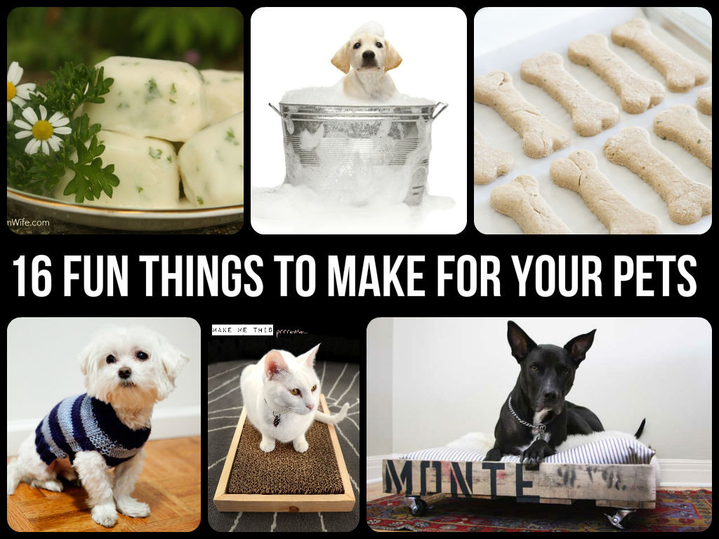 Best ideas about Fun Things To Make At Home
. Save or Pin 16 Fun Things To Make For Your Pets Now.