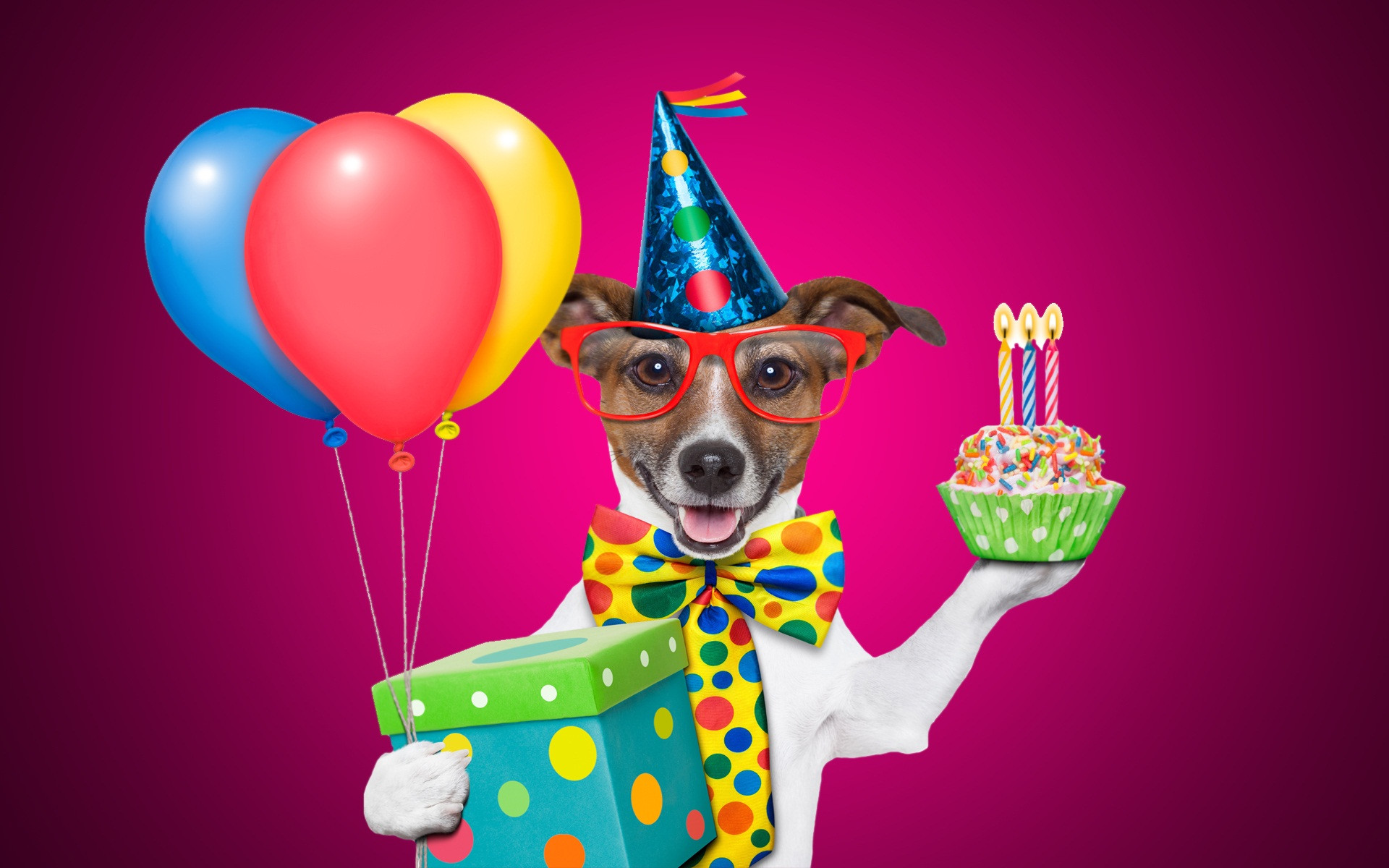Best ideas about Funny Birthday
. Save or Pin Funny Birthday Wallpapers WallpaperSafari Now.
