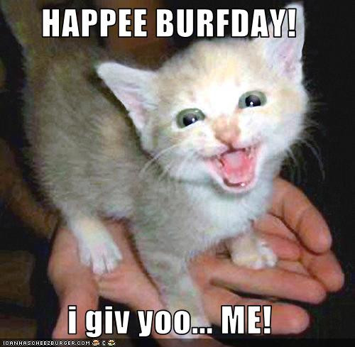 Best ideas about Funny Birthday Captions
. Save or Pin HAPPEE BURFDAY Now.