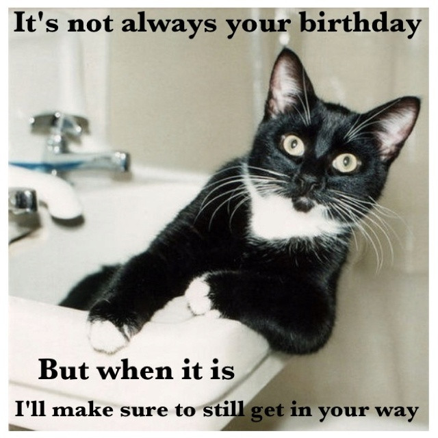 Best ideas about Funny Birthday Captions
. Save or Pin Best 25 Birthday captions ideas on Pinterest Now.