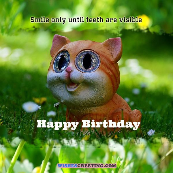 Best ideas about Funny Birthday E Cards
. Save or Pin 105 Funny Birthday Wishes and Messages Now.